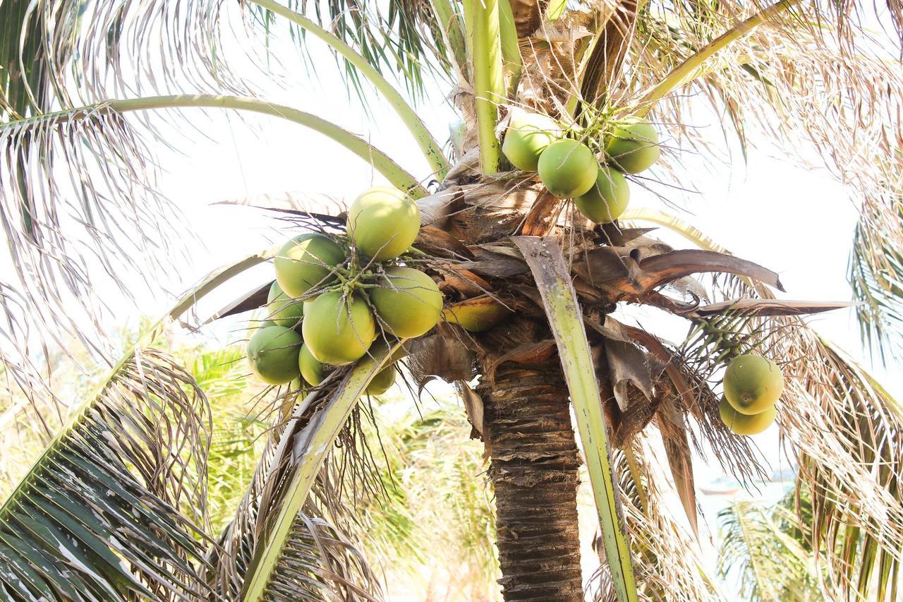 Eagles Beach Resort Phan Thiết Zewnętrze zdjęcie