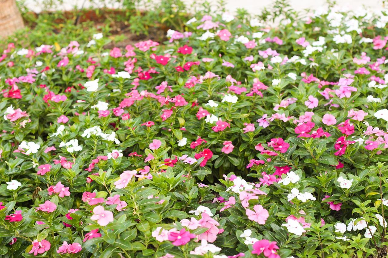 Eagles Beach Resort Phan Thiết Zewnętrze zdjęcie
